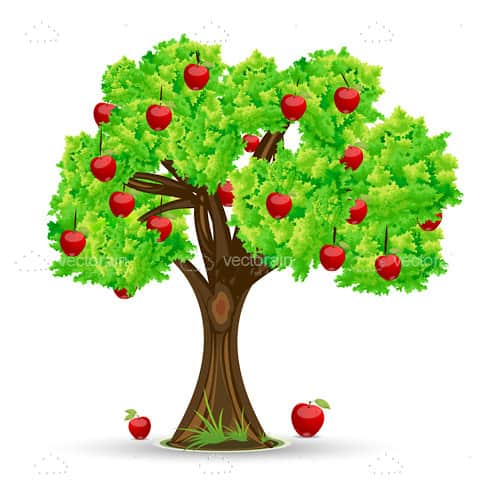 Red Apple Tree